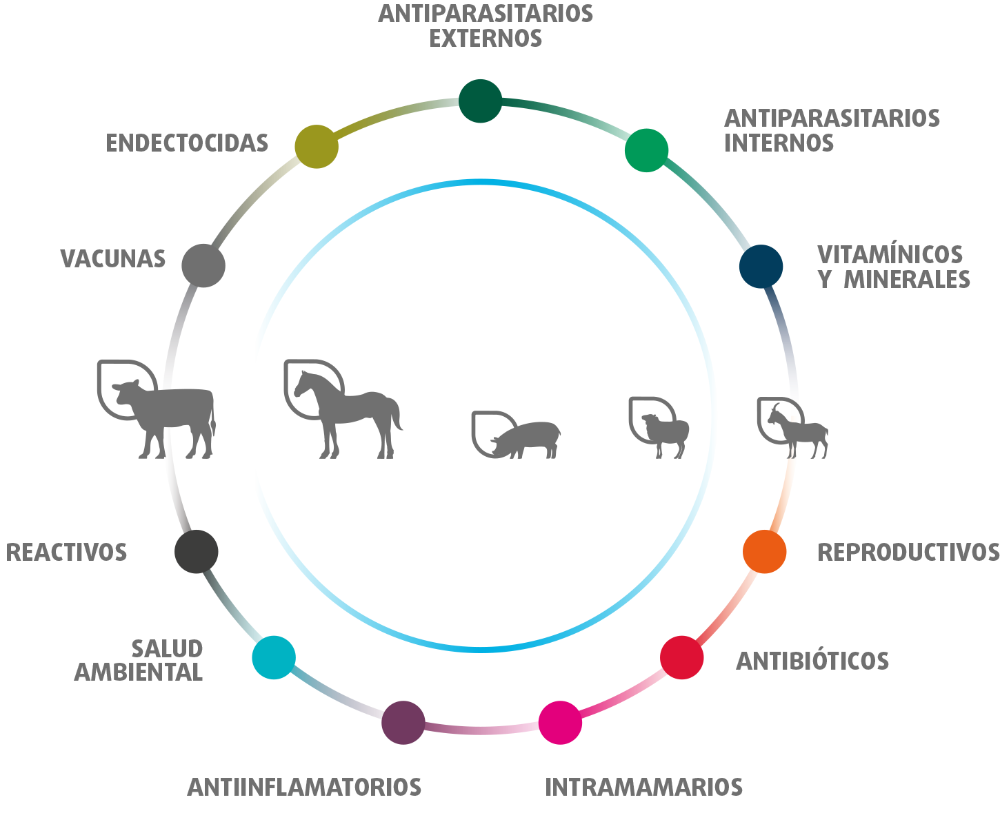 Portfolio de productos